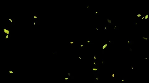 Loopable Leaves Animation on Black Background, White Background, Blue Background Stock Footage 277790211