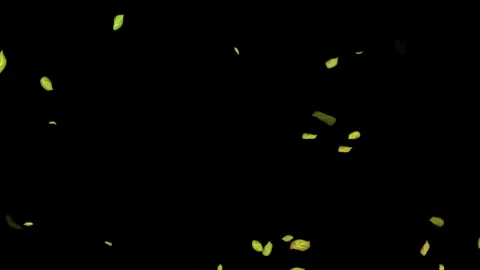 Loopable Leaves Animation on Black Background, White Background, Blue Background Stock Footage 277790224
