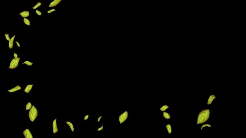 Loopable Leaves Animation on Black Background, White Background, Blue Background Stock Footage 277792780