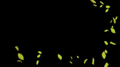 Loopable Leaves Animation on Black Backg... | Stock Video | Pond5