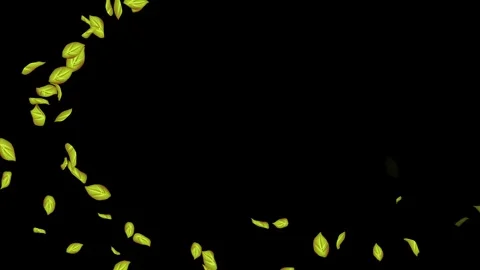 Loopable Leaves Animation on Black Background, White Background, Blue Background Stock Footage 277792817