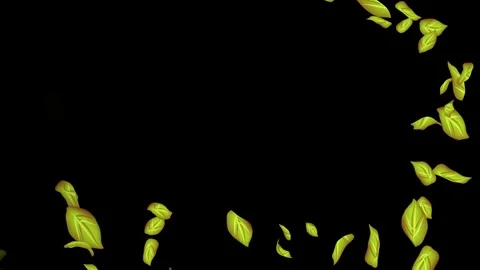 Loopable Leaves Animation on Black Background, White Background, Blue Background Stock Footage 277792903