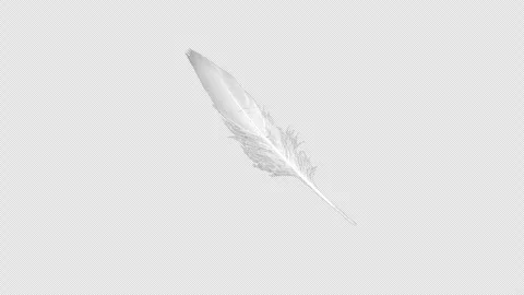 Loopable material with a transparent background featuring rotating swan feathers Stockbeeldmateriaal 335981451