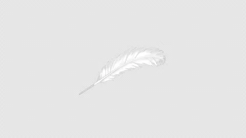 Loopable material with a transparent background featuring rotating swan feathers 스톡 동영상 336350884
