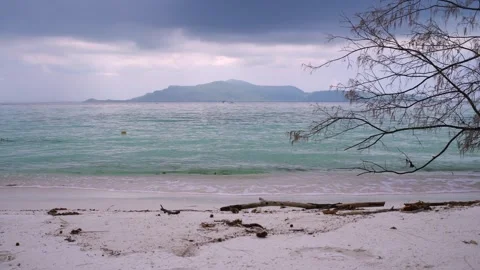 Loopable Menjangan Shore with Soft Wave Patterns Видео 310987024