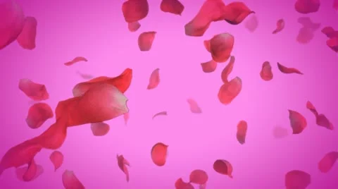 Loopable passing roses on pink with alpha channel Stock Footage 22010467