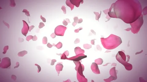 Loopable passing roses on white towards camera 動画素材 22010324