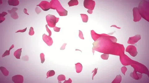 Loopable pink roses with alpha channel Stock Footage 22010123