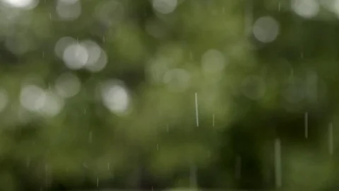 Loopable Rain Slow MO BG Stock Footage 70683630