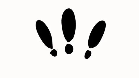 Loopable Sketch Exclamation Mark Handdrawn Doodle Animation in 4K  Stock Footage 306367839