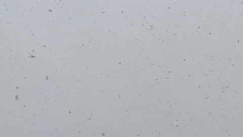 Loopable Snow White Out Stock Footage 148442404