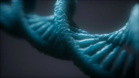 Loopable structure of the DNA double helix animation Stock Footage 118438865