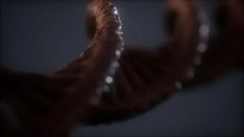 Loopable structure of the DNA double helix animation Illustrazione stock