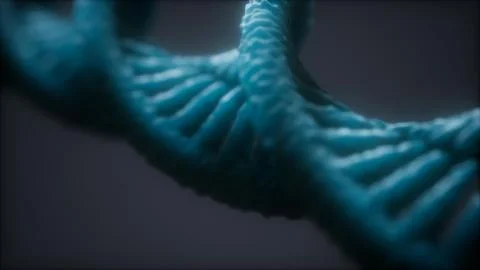 Loopable structure of the DNA double helix animation Illustrazione stock