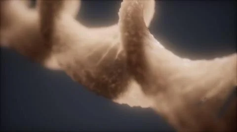 Loopable structure of the DNA double helix animation structure of the DNA ... Stock Photos