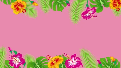 Loopable swaying hibiscus flowers and tropical leaves frame animation Stock Footage 155907088