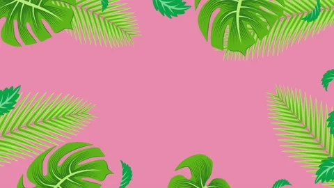 Loopable swaying tropical leaves frame animation Stock Footage 155906983