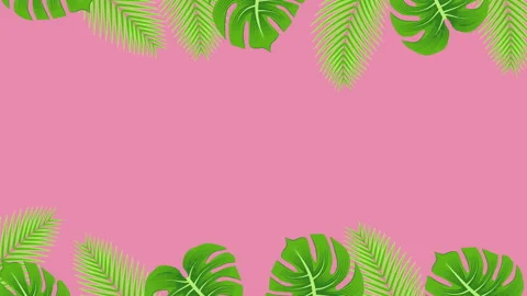 Loopable swaying tropical leaves frame animation - Separated above and below Stock Footage 155907084