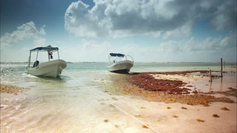 Loopable timelpase of boats in the sea in mexico Video stock 147911995