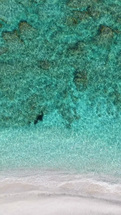 Loopable top view of a white sand beach with turquoise sea Stock Footage 332370083