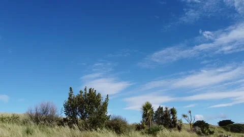 Loopable video of a still, cloudy sky and nature in the wind Video stock 167810718