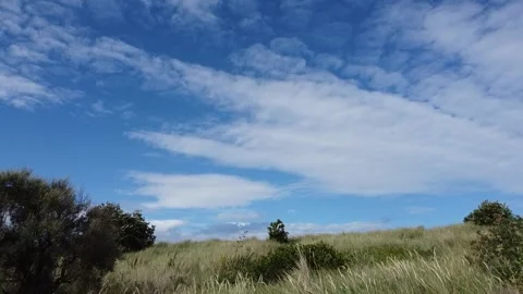 Loopable video of a still, cloudy sky and nature in the wind Video stock 167810766