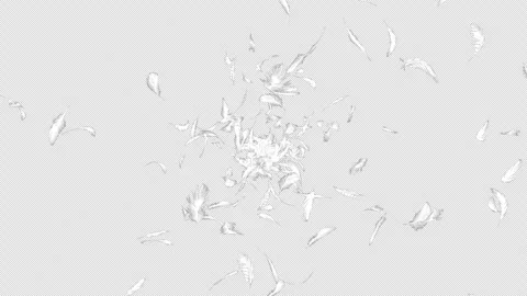 A loopable video with a transparent background featuring white feathers rotating Stock Footage 332414084