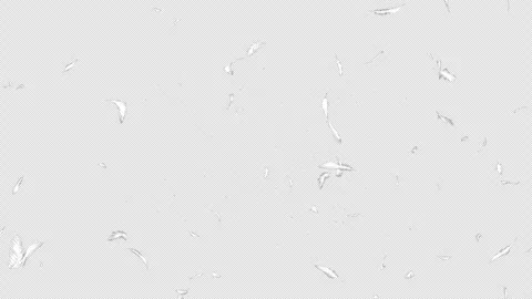 A loopable video with a transparent background showing white feathers moving fro Stock Footage 331194195