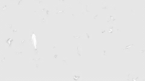 A loopable video with a transparent background showing white feathers moving fro Stock Footage 331442366
