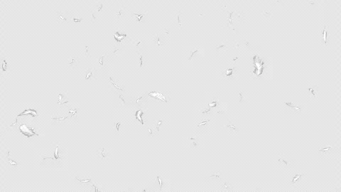 A loopable video with a transparent background showing a white feather moving fr Stock Footage 331623591