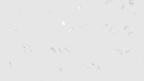 A loopable video with a transparent background showing white feathers floating f Vídeo Stock 335275942