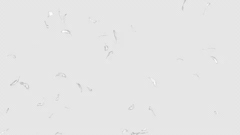 A loopable video with a transparent background showing white feathers floating f Stockbeeldmateriaal 335570945