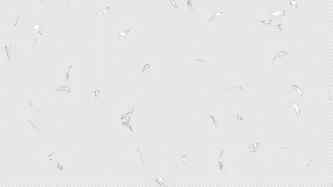 A loopable video with a transparent background showing white feathers floating f Видео 335913376