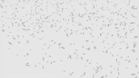 A loopable video with a transparent background of snowflakes moving from the top Stock Footage 313821920