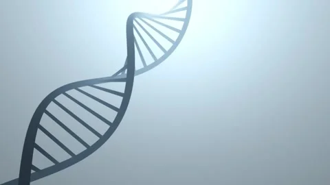 Looped 3d dna chain on soft bright foggy copy space light background Stock Footage 337964957