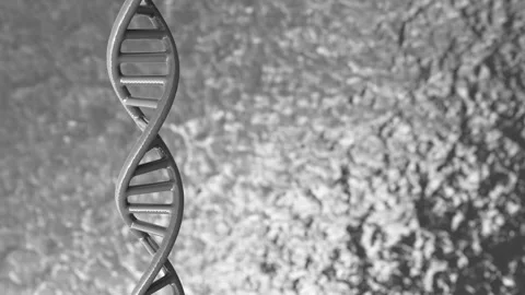 Looped 3D structural model of a DNA double helix. Isolated rotation of a DNA mol Stock Footage 121953723