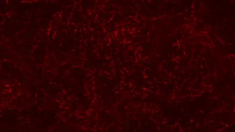 Looped abstract background texture, contemporary and mesmerizing backgrounds Stock Footage 247237656