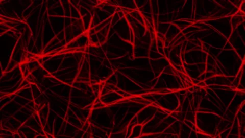 Looped abstract background texture, contemporary and mesmerizing backgrounds Stock Footage 247238483