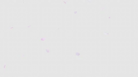 Looped animation of cherry blossom blizzard, spring background particle with Stock Footage 195056314