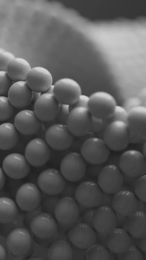 Looped animation of a close-up Mobius shape made of glossy white spheres. Stock Footage 314044783