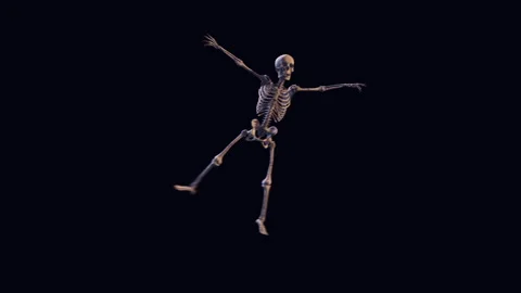 Looped animation of a dancing skeleton isolated on a black screen Stock Footage 253036609