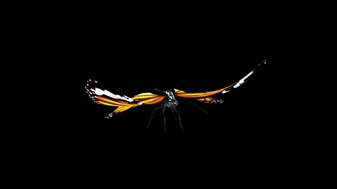 A looped animation of fluttering Video stock 125130590
