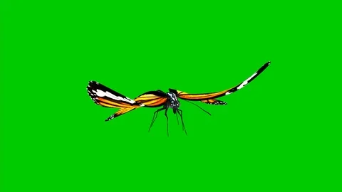 A looped animation of fluttering Stock Footage 125132139