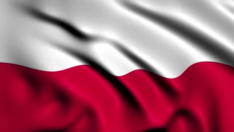 Looped Animation of Waving Poland 3d Flag Vidéo 131843653