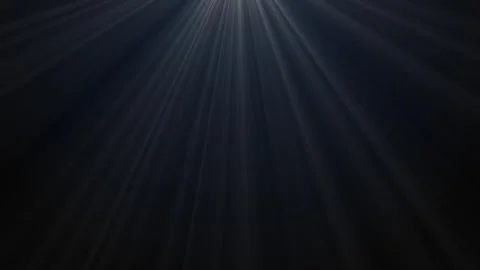 Looped Light Rays Background, Volumetric Light Rays from Top Stock Footage 313460110
