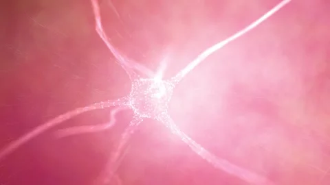 Looped neuron cell in the brain animation background Stock Footage 337966052