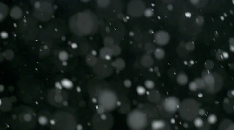 Looped Real Snow fall - seamless loop, HD, on dark black background Stock Footage 33687632