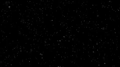 Looped realistic snowflakes falling on black background Vidéo 338306784