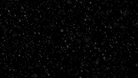Looped realistic snowflakes falling on black background Stock Footage 338306986