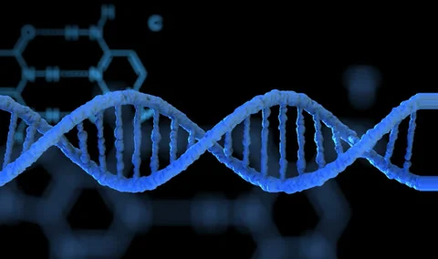 Looped rotating DNA strand, with formula background, seamless loop Stock Footage 33733734